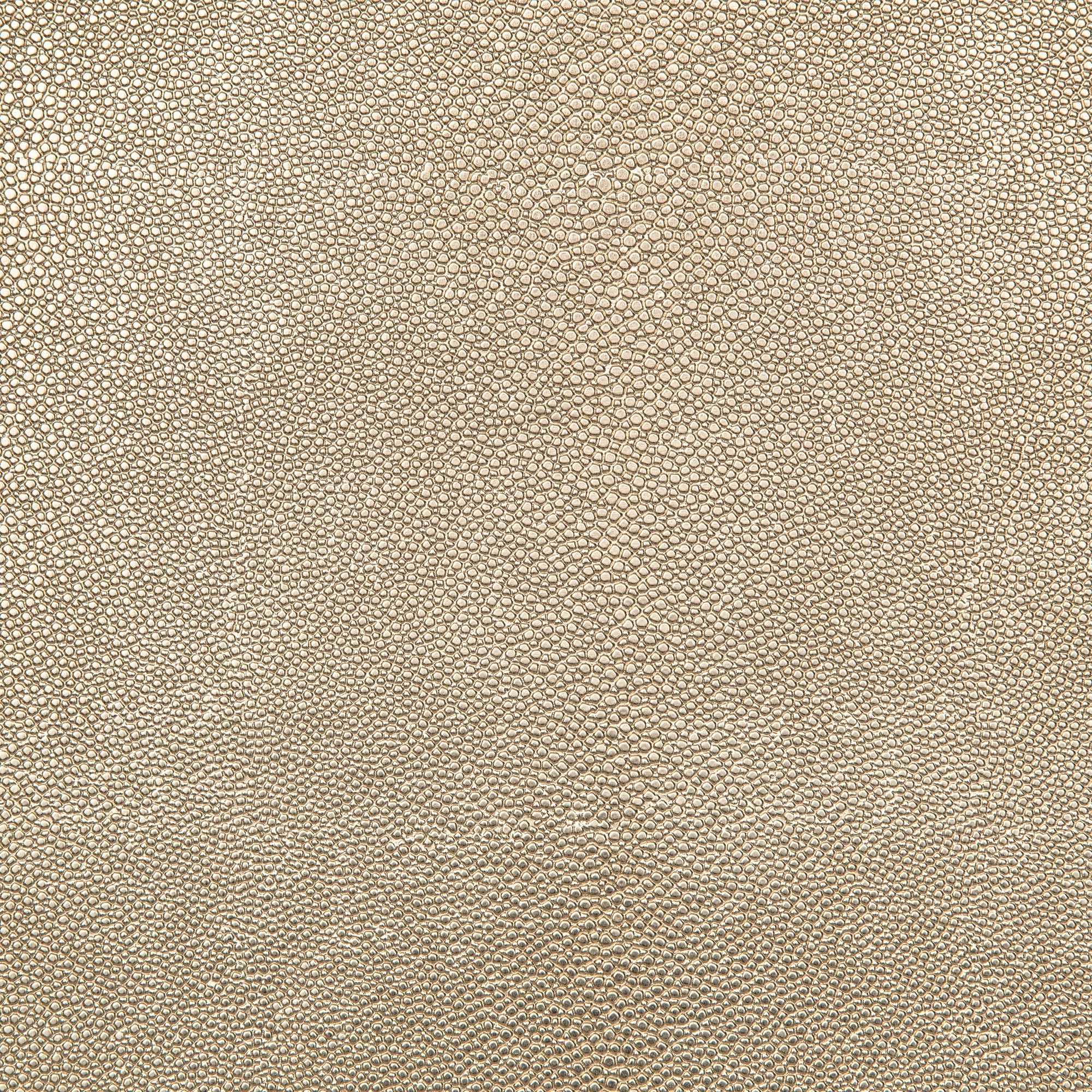 Midas Gold & Beige Placemat